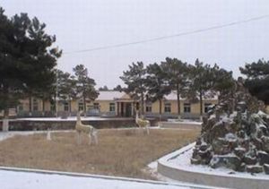 龍頭林場 龍頭林場