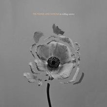 the naked and famous