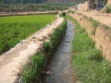 沙沖村[雲南省紅河州建水縣李浩寨鄉下轄村]