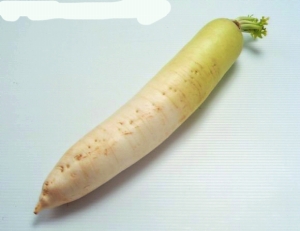 （圖）白蘿蔔蘋果牛肉湯