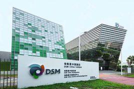 荷蘭皇家帝斯曼集團 荷蘭皇家帝斯曼集團