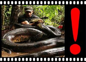 保羅·羅索里 保羅·羅索里