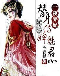 替身侍婢魅君心:一夜棄妃 替身侍婢魅君心:一夜棄妃