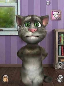 會說話的湯姆貓2單機版