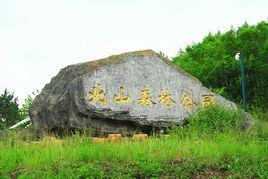黑龍江加格達奇國家森林公園 黑龍江加格達奇國家森林公園