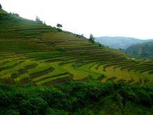 瓦那村梯田