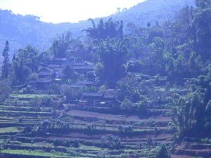 竹蓬自然村 竹蓬自然村