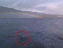 尼斯湖怪聲納圖