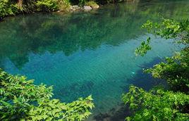 水權交易制度 水權交易制度