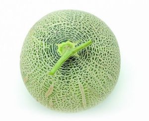 珍珠香瓜 珍珠香瓜