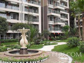 橙花風景 橙花風景