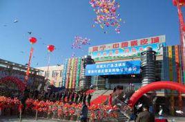 肅寧中國裘皮城 肅寧中國裘皮城