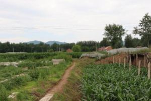 黃瓜營自然村 黃瓜營自然村