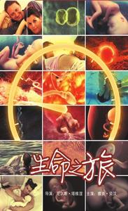 生命之旅