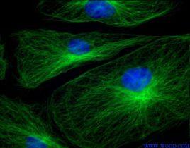 細胞生物學[一門科學]