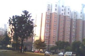 黃興綠園 黃興綠園