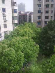 新月桃苑 新月桃苑