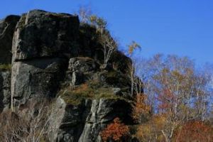 七星砬子自然保護區 七星砬子自然保護區