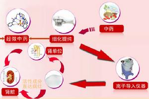 超微多靶點療法示意圖