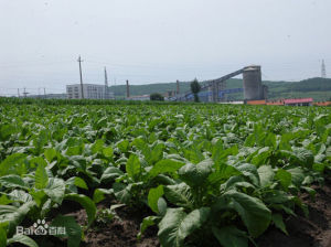 雙廟街鄉 雙廟街鄉