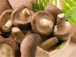 農香2號 農香2號