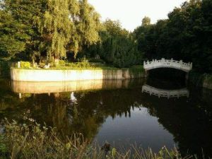 楚雄醫藥高等專科學校