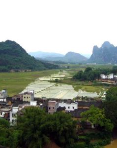 清遠市英德黃花鎮 清遠市英德黃花鎮