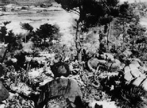第39軍在第一次戰役中與美國“開國元勛師”第1騎兵師遭遇爆發了著名的雲山之戰