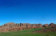 獵隼的繁殖棲息地