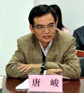 唐峻[湖北文理學院黨委書記]