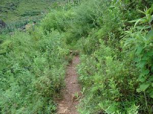 石對窩村 石對窩村