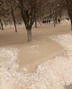 黃雪[自然現象]