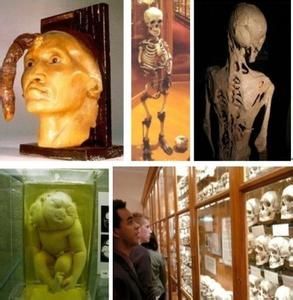 費城馬特博物館