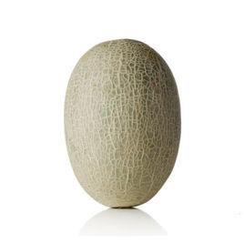 西州蜜瓜 西州蜜瓜