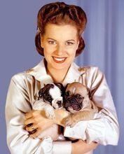 瑪琳&middot;奧哈拉