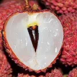 荔枝糯米糍 荔枝糯米糍