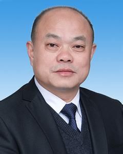 王軍華[湖南省桃江縣副縣長]