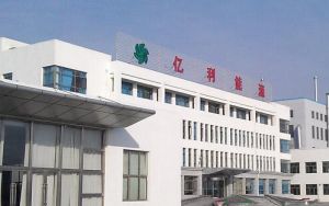 內蒙古億利科技實業股份有限公司