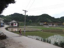 桃坪村中心國小一角