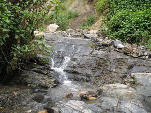 龍街江邊村 龍街江邊村