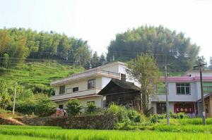 文溪村杉樹腳小組農戶