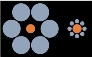 艾賓浩斯錯覺 艾賓浩斯錯覺