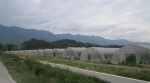 岩山鄉[湖南省洞口縣]