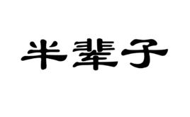 半輩子