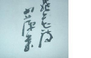 金小萍[上海書法家協會理事]