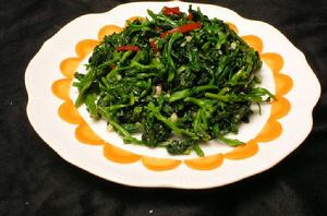 涼拌萬年青 涼拌萬年青