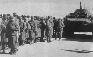 1979年阿富汗戰爭