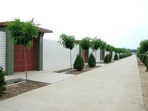 莫李營村 莫李營村