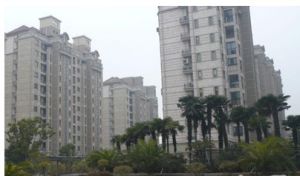 上海夢想 上海夢想