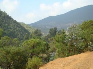 青松坪村 青松坪村